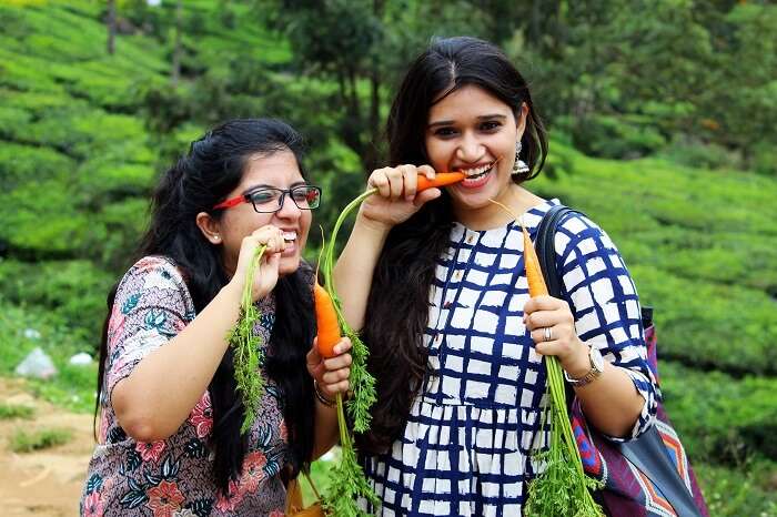 friends trip to munnar