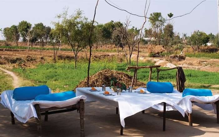 Open field breakfast in Lakshman Sagar Resort