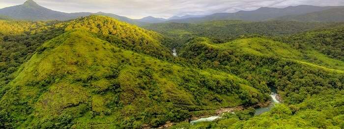 Silent Valley National Park's hills from a bird's eye angle