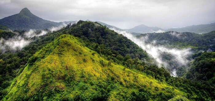 Silent Valley National Park misty hills