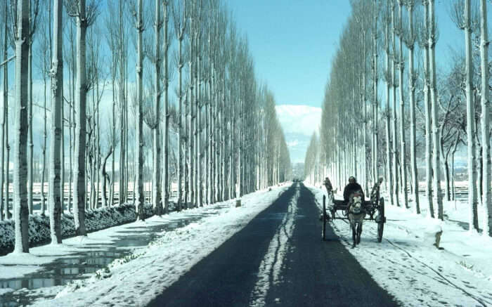 Snow in kashmir