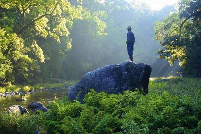 Summers in Silent Valley National Park