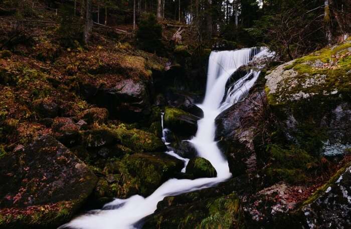 Waterfall View