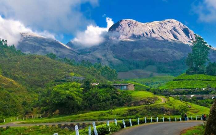 Tea Gardens Munnar, captivating scenery redefine your love for you