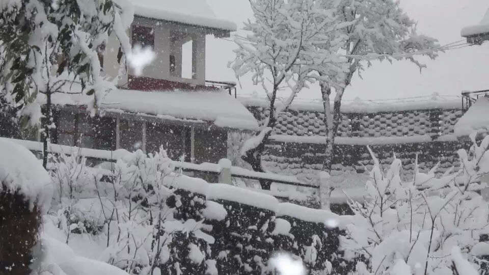 snowfall in a resort