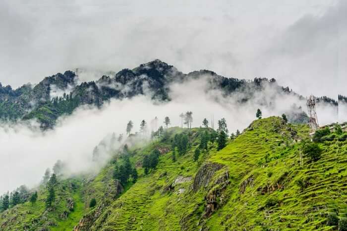 mist-covered green mountains