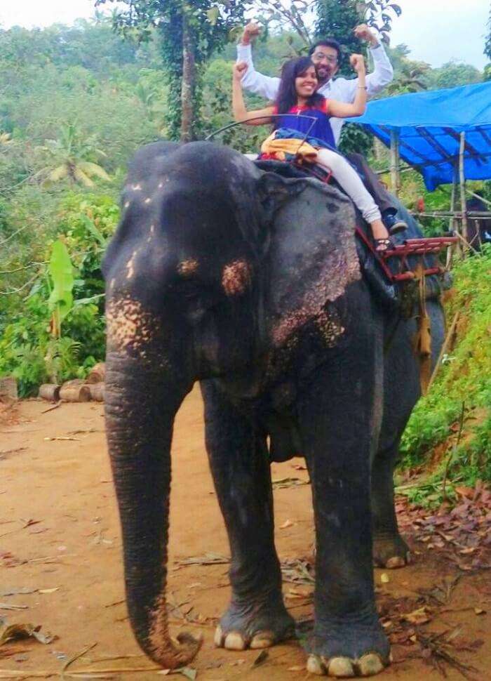 Couple enjoying an Elephant ride