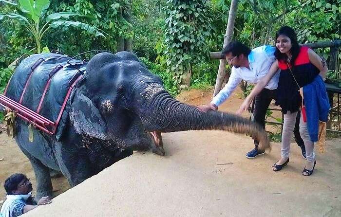 Couple interacting with an Elephant