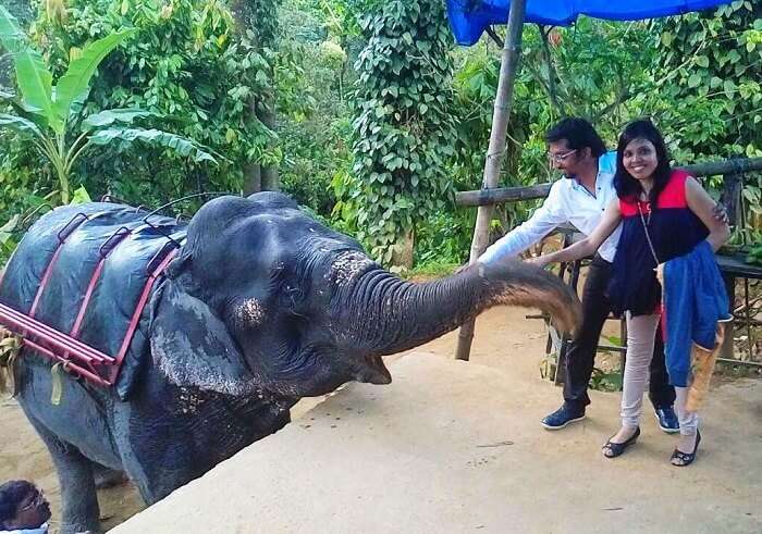Couple interacting with an Elephant