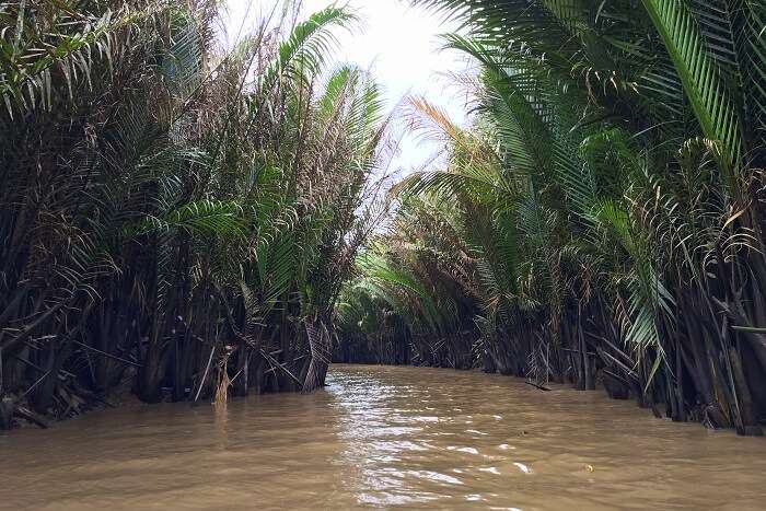 8. Mekong Delta