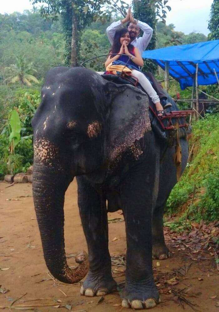 Couple enjoying an Elephant ride