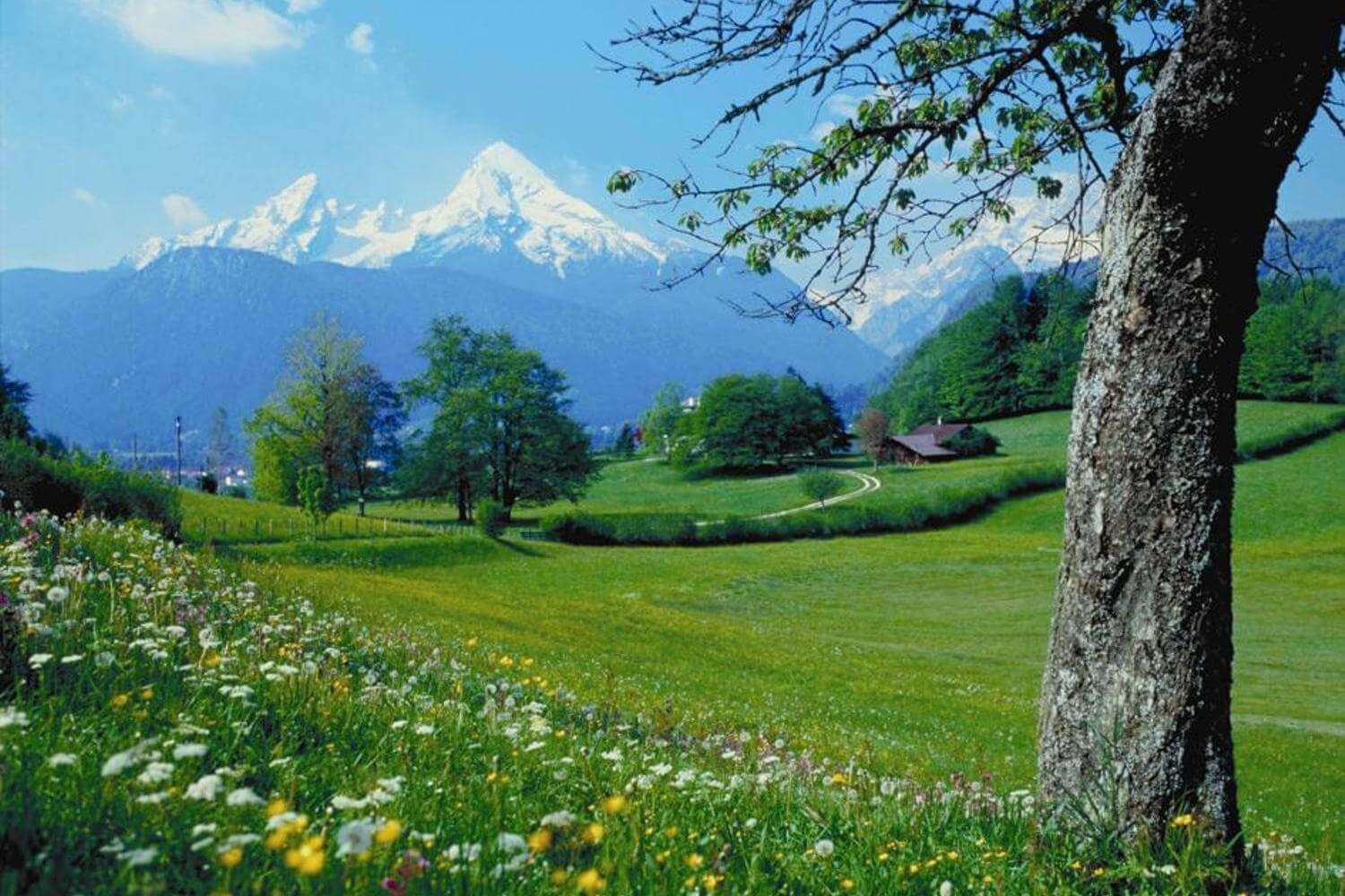 a beautiful garden in mountains