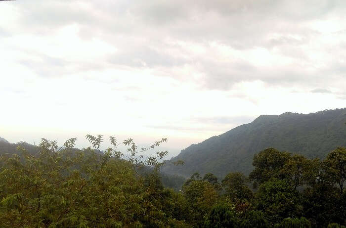 Scenic views in Kerala