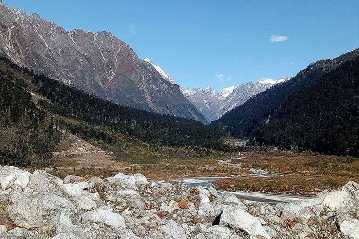 bhutan nature 