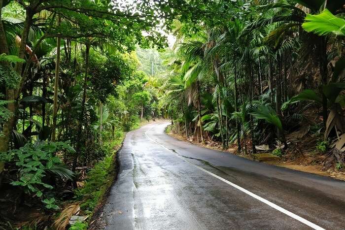 sandeep seychelles trip: the lush greenery of seychelles