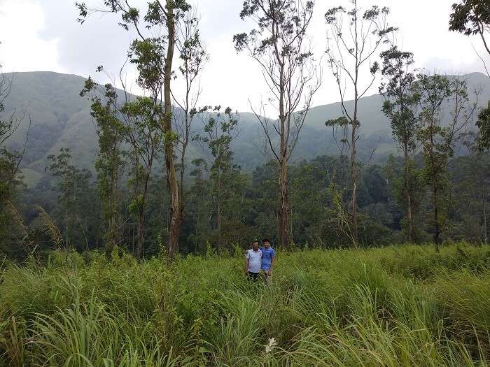 Periyar reserve in Thekkady