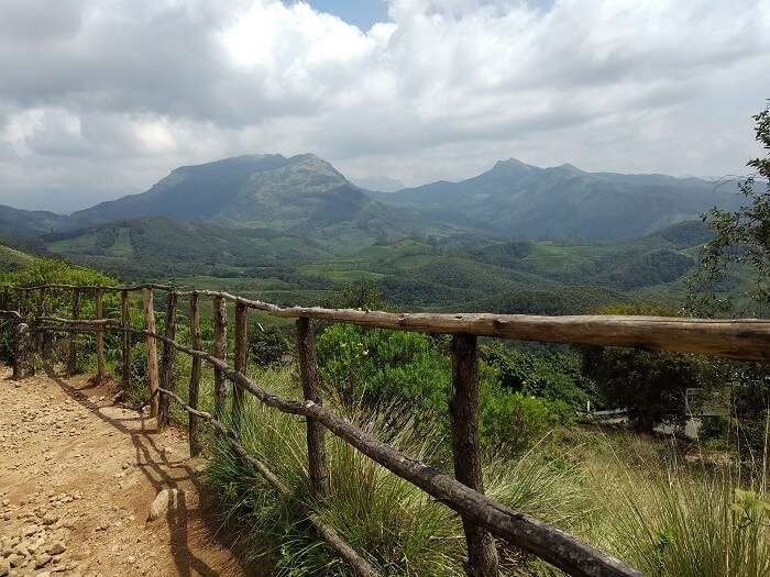 Rajmalai in munnar