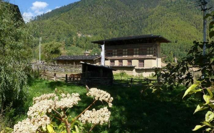 A home in Haa Valley in Bhutan