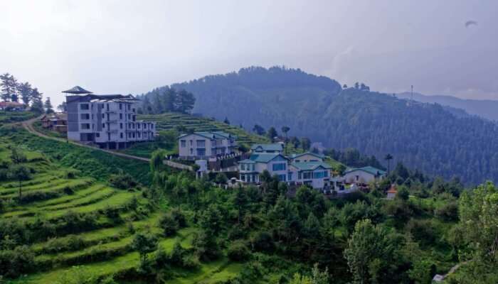 green farms of and homes of Mashobra