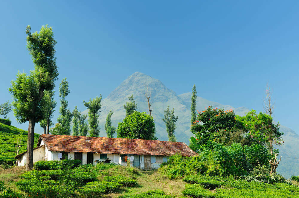 a traditional style house in lush valleys of Wayanad