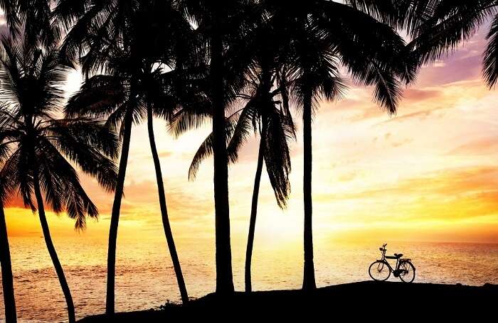 Goa Bike Tour