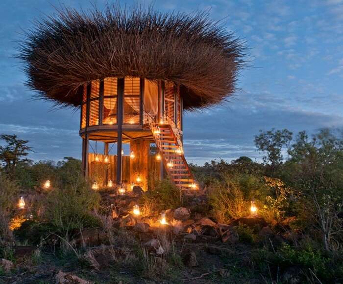 NAY PALAD Bird Nest Kenya