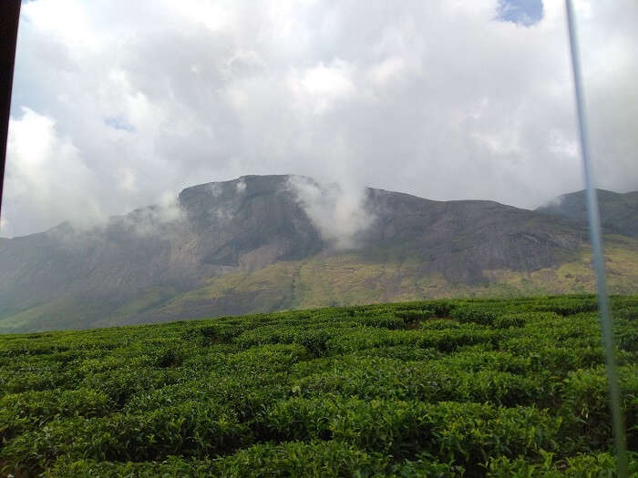 Trip to Munnar