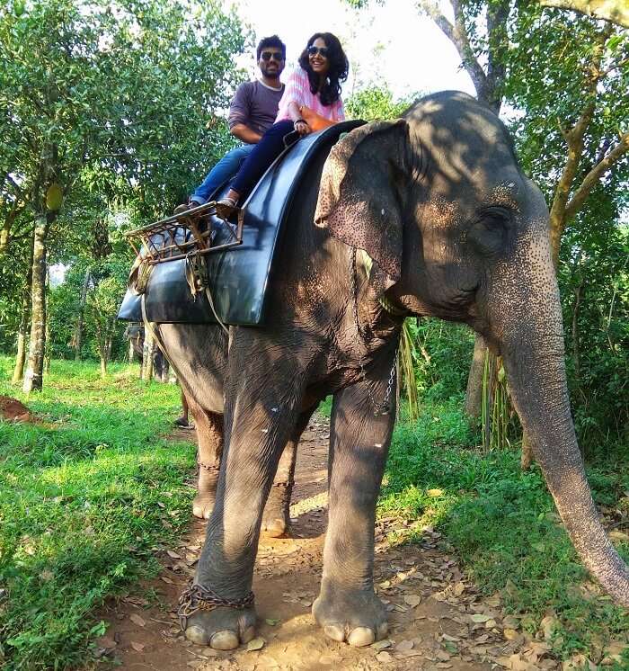 Elephant ride in Kerala