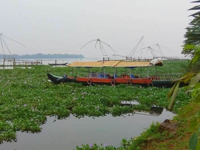 houseboat in Alleppey