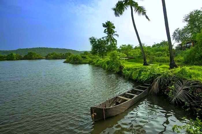 backwaters escape in goa