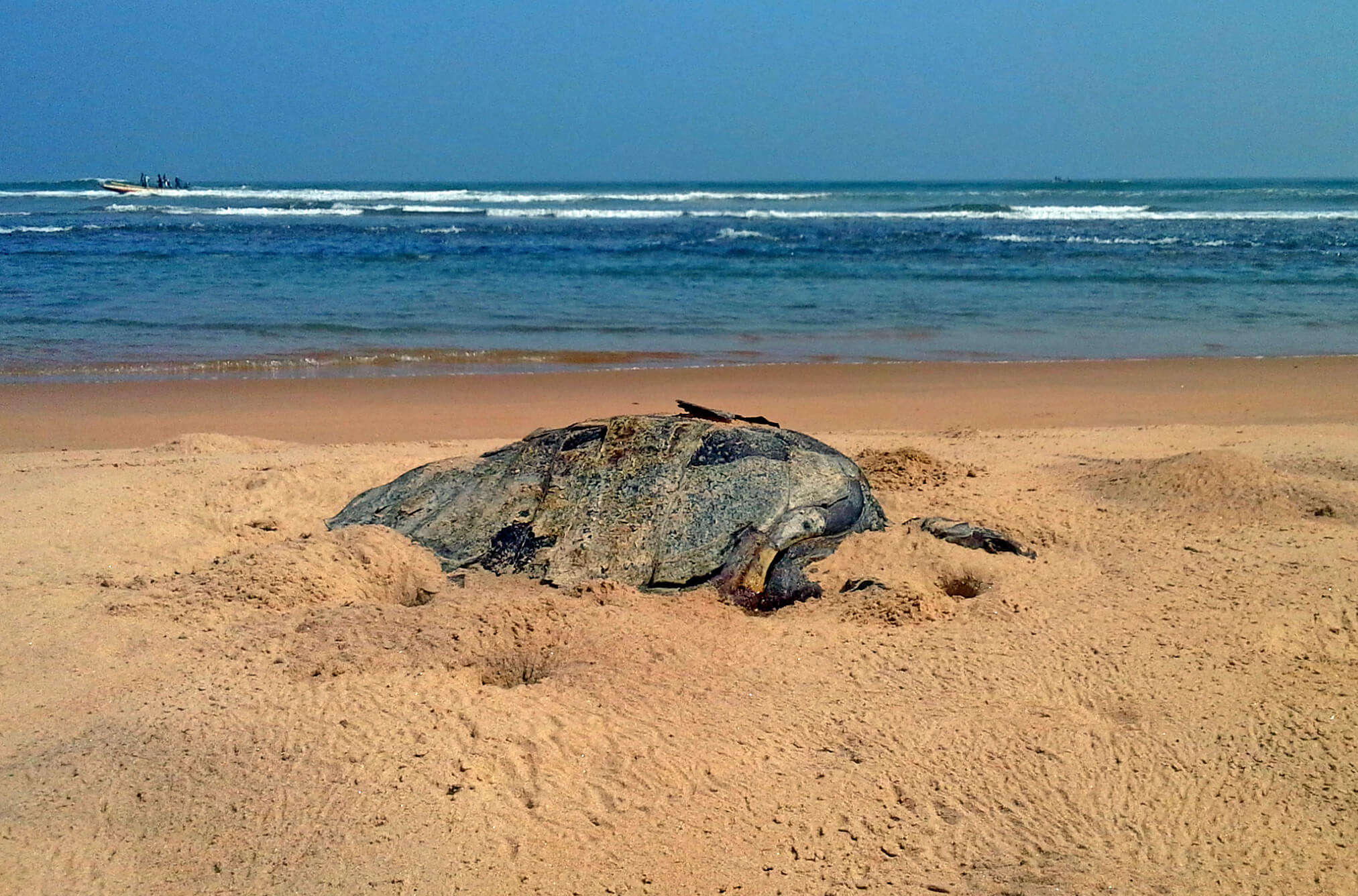 Discover one of the best beaches near Hyderabad at Bheemunipatnam Beach