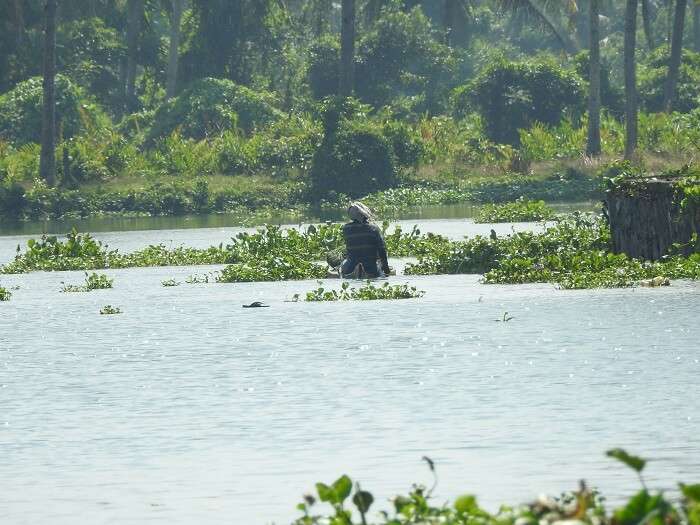 boating in chennai lake