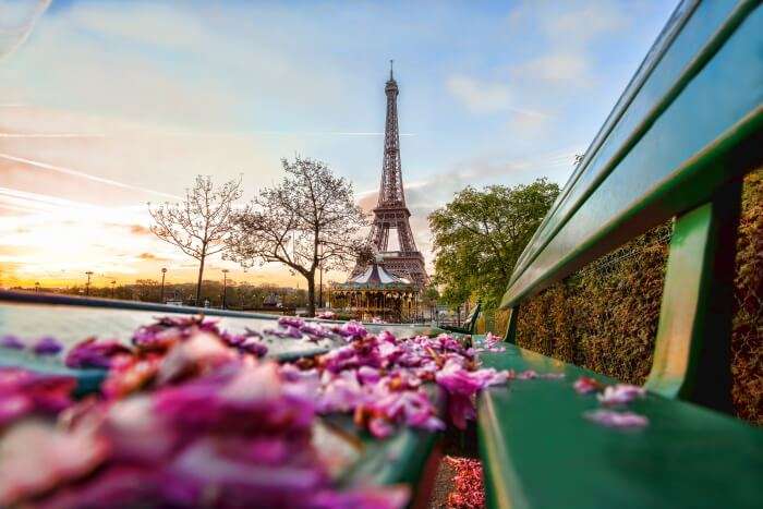 Eiffel blossom