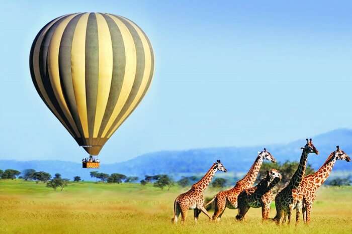 Hot Air Balloons In South Africa