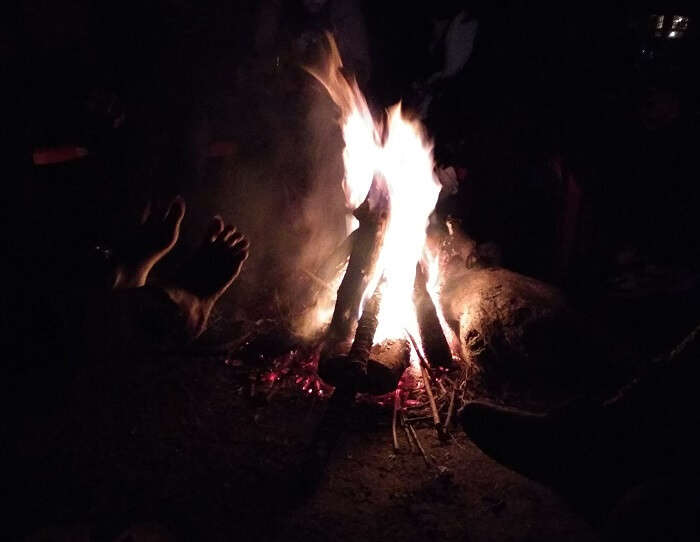 enjoying bonfire at night