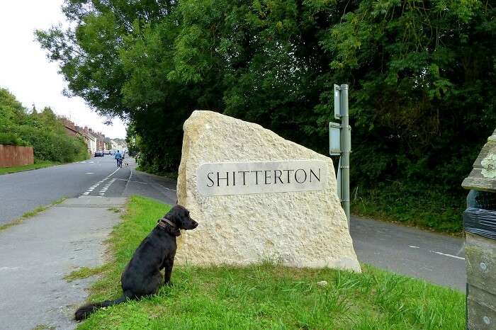 visit the town of Shitterton