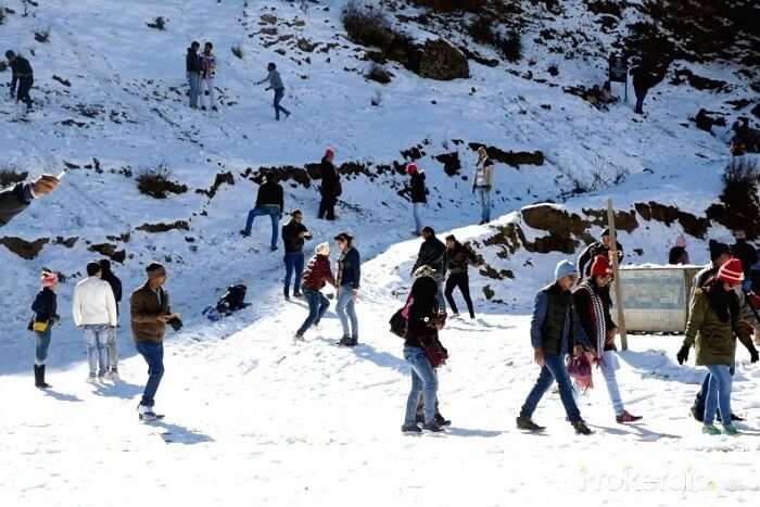 Winter Sports in Shimla