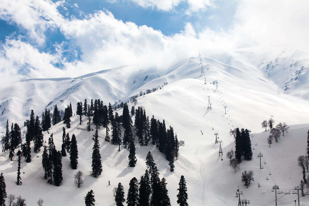 mountain slopes and trees covered in snow