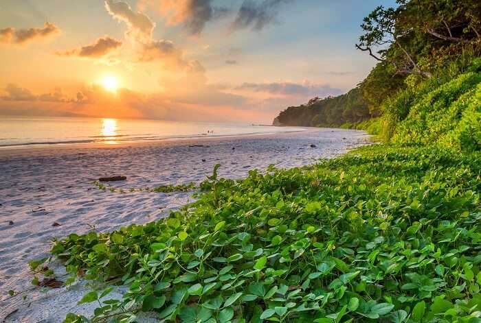 radhanagar beach in havelock, andaman