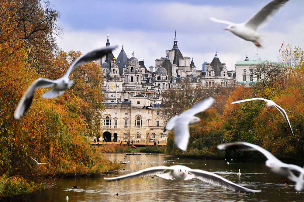 Hyde park castle and birds flying