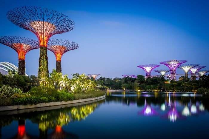 Gardens By The Bay