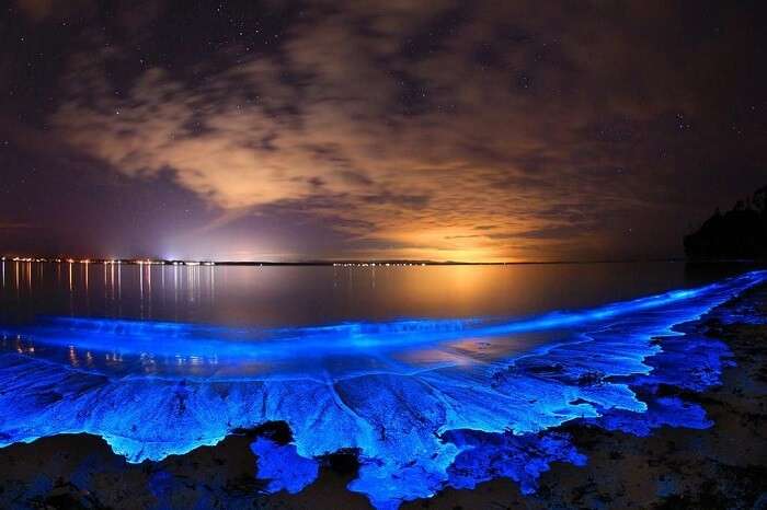 Bioluminescent Beach in Vaadhoo Island in Maldives