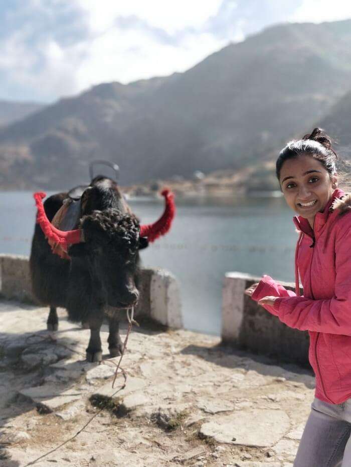 chavi enjoying yak ride 