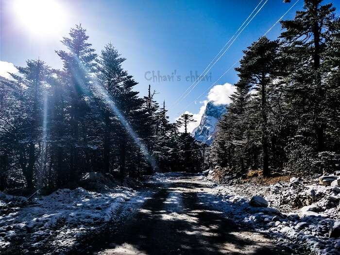 snowfall in yumthang valley