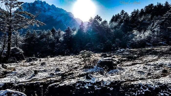snow in yumthang valley