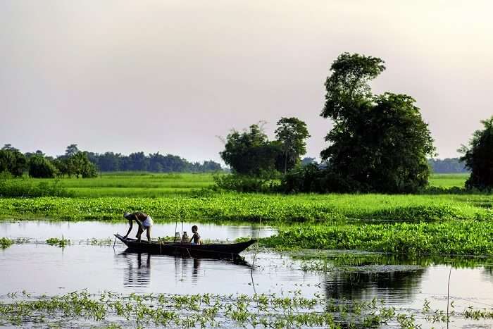 Visit Majuli to explore one of the popular tourist places in Assam