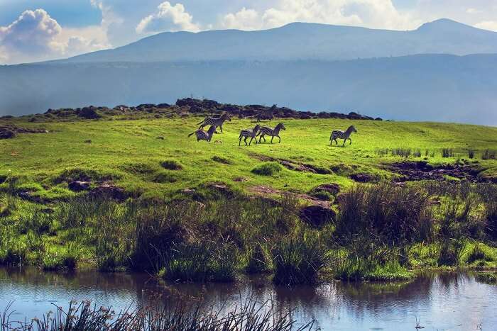 Ngorongoro National Park, Tanzania