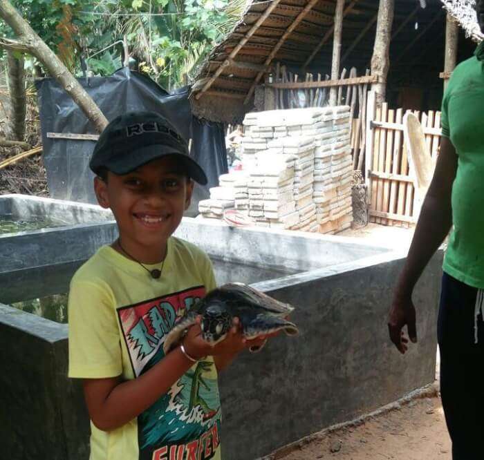 Kasgoda Turtle Hatchery