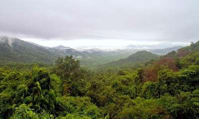 Visit 6 Incredible Rain Forests In India For An Epic Adventure In 2023!