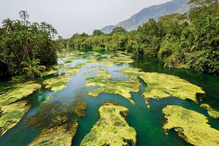 Virunga National Park, Democratic Republic of the Congo